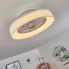 Moli Deckenventilator LED Weiß, 1-flammig, Fernbedienung