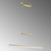 Fischer & Honsel Tenso Pendelleuchte LED Messing, 1-flammig