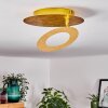 Sunrise Deckenleuchte LED Gold, 1-flammig