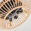 Oravi Deckenventilator Schwarz, 4-flammig, Fernbedienung