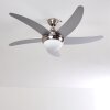 Morino Deckenventilator Nickel-Matt, Silber, 2-flammig, Fernbedienung