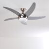 Morino Deckenventilator Nickel-Matt, Silber, 2-flammig, Fernbedienung