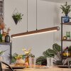 Carbellino Pendelleuchte LED Dunkelbraun, Schwarz, 1-flammig