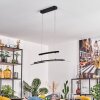 Casalino Pendelleuchte LED Schwarz, Transparent, Klar, 1-flammig