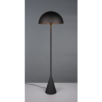 Trio Alfie Stehlampe Schwarz, 1-flammig