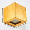 Noto Wandleuchte Gold, 1-flammig