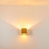 Noto Wandleuchte Gold, 1-flammig