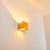 Noto Wandleuchte Gold, 1-flammig