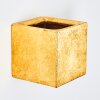 Noto Wandleuchte Gold, 1-flammig