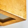 Noto Wandleuchte Gold, 1-flammig