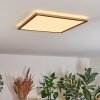 Antra Deckenpanel LED Gold, 1-flammig