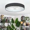 Benasal Deckenventilator mit Beleuchtung 55 cm LED Weiß, 1-flammig, Fernbedienung