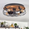 Tourais Deckenventilator mit Beleuchtung LED Holzoptik, Schwarz, 4-flammig, Fernbedienung