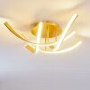 Aranu Deckenleuchte LED Gold, 4-flammig